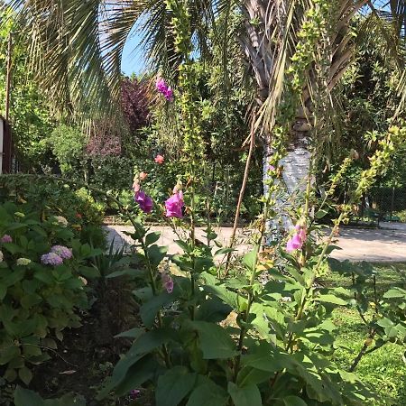 Guest House Evkalipt Ochamchira Ngoại thất bức ảnh