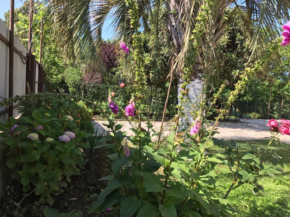 Guest House Evkalipt Ochamchira Ngoại thất bức ảnh